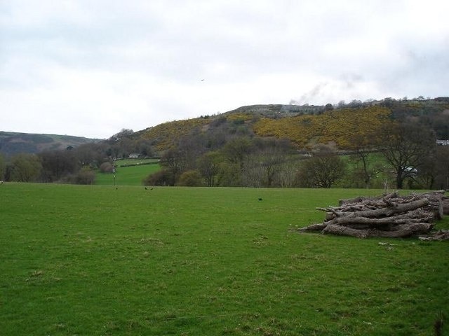 Hillside gorse. Oh the hills above Llanfair TH leading up to Mynydd Bodran. The yellow gorse is prolific at this time of year in the hills and fields in the area.