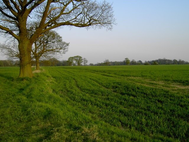 "Hyde"-foto av John Yaxley (CC BY-SA) / Urklipp från original