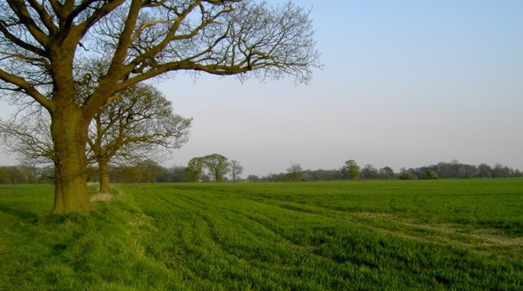 Foto “Hyde” tomada por John Yaxley (CC BY-SA); recorte de la original