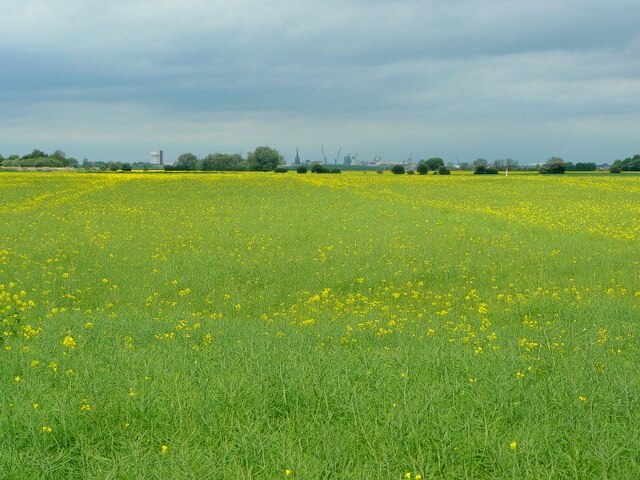 Kuva ”Goole Fields” käyttäjältä Jonathan Billinger (CC BY-SA) / rajattu alkuperäisestä kuvasta