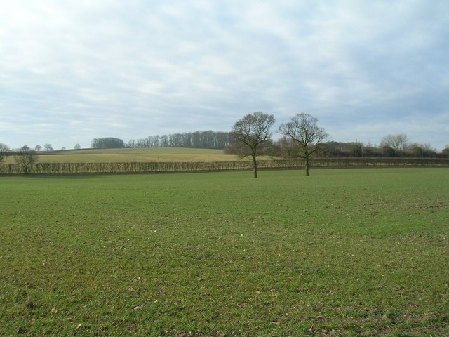 Foto “Bestwood Village” tomada por JThomas (CC BY-SA); recorte de la original