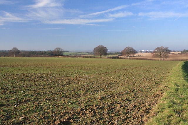 Farmland near Brinkley Looking westwards from the minor road between Brinkley and Six Mile Bottom. The line of trees in the distance follows another road which is in the adjacent square.