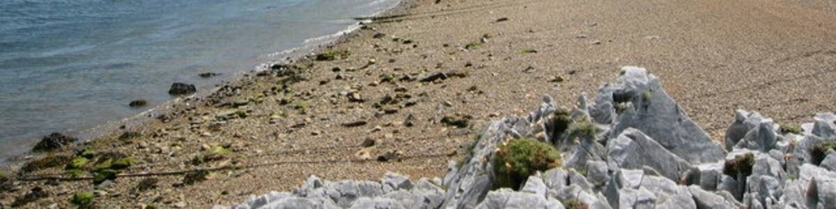 Photo "Bunnahabhain Distillery, Islay" by Rob (Creative Commons Attribution-Share Alike 2.0) / Cropped from original