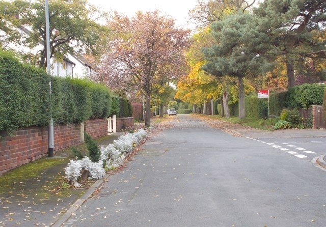 The Avenue - viewed from Nook Gardens