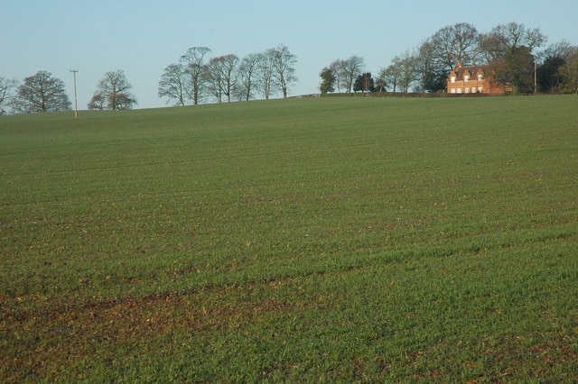 Field of winter cereals, Earl's Croome A field of winter cereals to the west of the A38 near Earl's Croome.