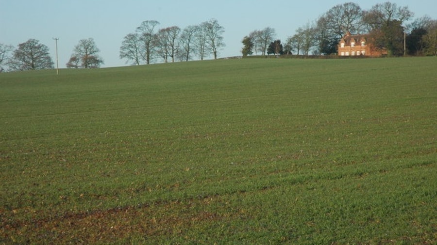 Photo "Field of winter cereals, Earl's Croome A field of winter cereals to the west of the A38 near Earl's Croome." by Philip Halling (Creative Commons Attribution-Share Alike 2.0) / Cropped from original