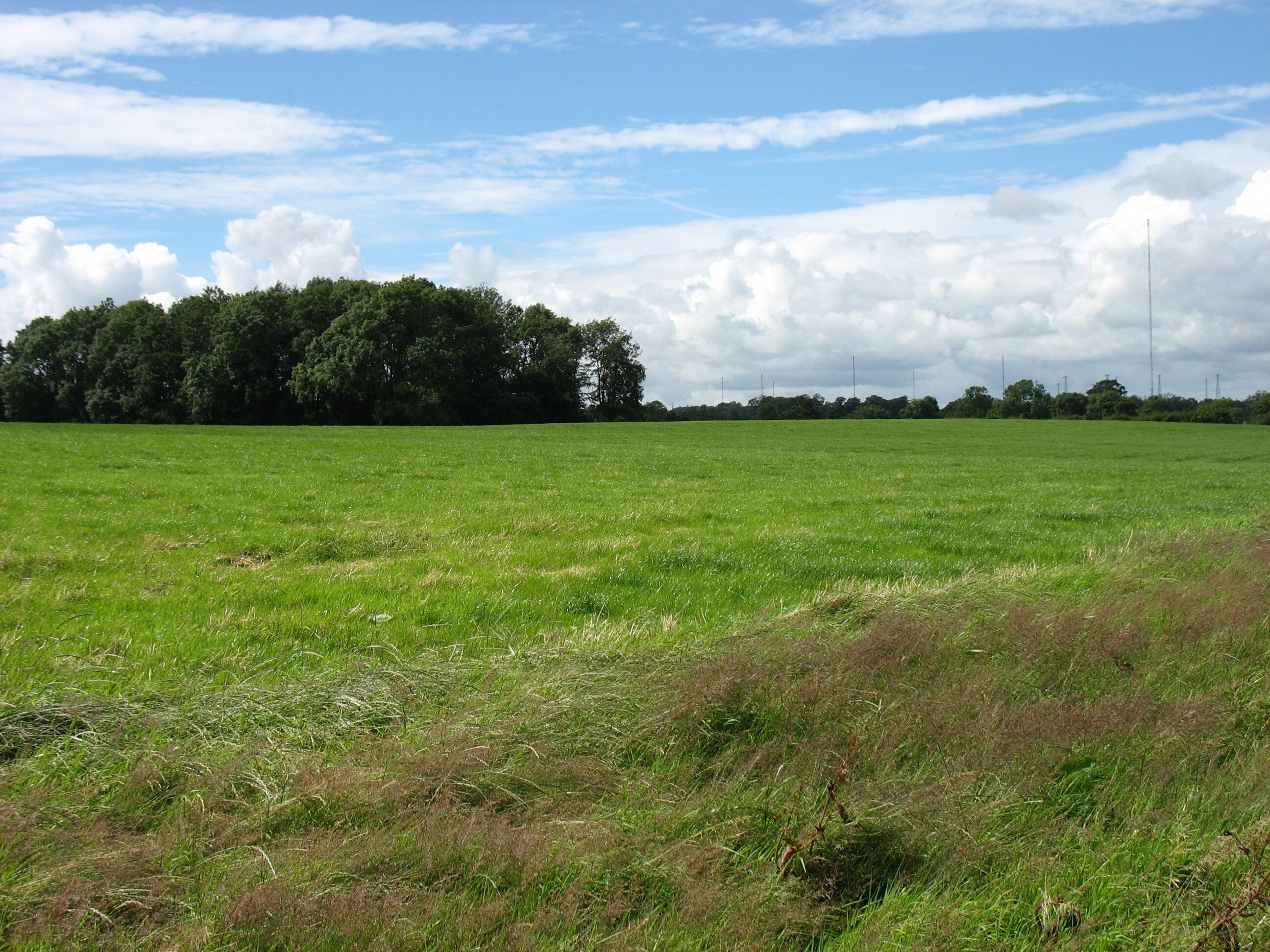 Photo "Skelton" by David Purchase (CC BY-SA) / Cropped from original