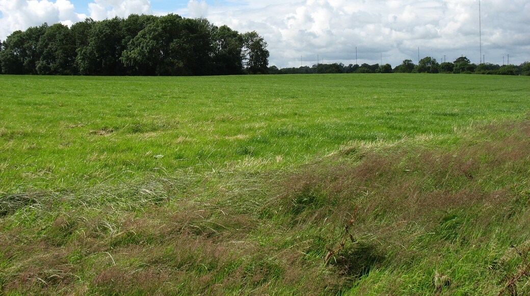 Photo "Skelton" by David Purchase (CC BY-SA) / Cropped from original