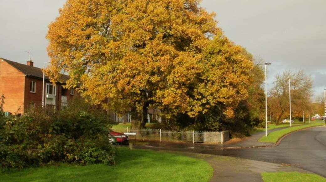 Photo "Ringland" by John Grayson (CC BY-SA) / Cropped from original