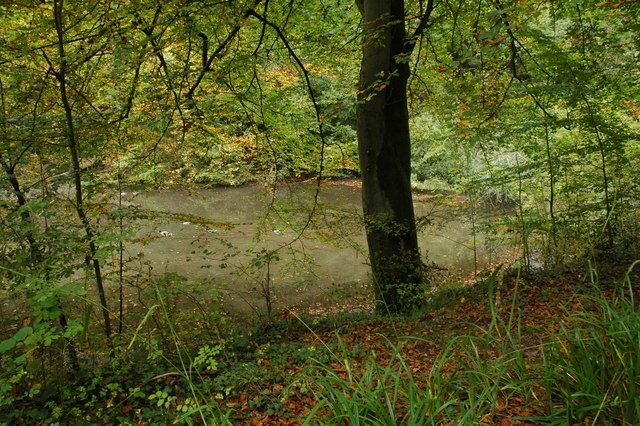 Kuva ”Brimpsfield” käyttäjältä Philip Halling (CC BY-SA) / rajattu alkuperäisestä kuvasta