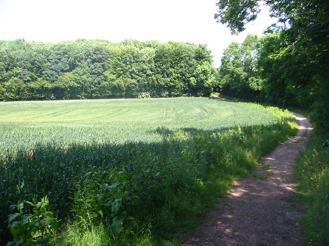 Photo "Graveley" by Paul Dixon (CC BY-SA) / Cropped from original