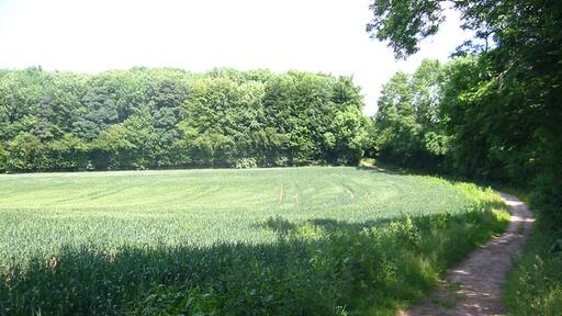 "Graveley"-foto av Paul Dixon (CC BY-SA) / Urklipp från original