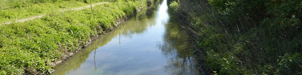 Photo "La Marque à Fretin à hauteur du Marais_de_Bonance" by Pierre André Leclercq (Creative Commons Attribution-Share Alike 4.0) / Cropped from original