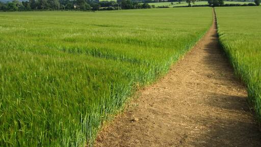 Photo "Greens Norton" by Philip Jeffrey (CC BY-SA) / Cropped from original