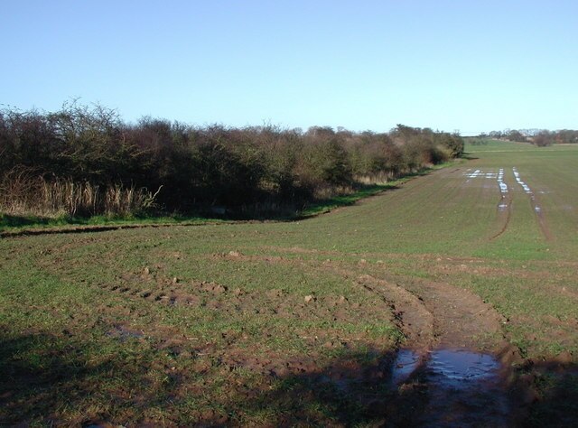 Ảnh "Halsham" của Paul Glazzard (CC BY-SA) / Cắt từ ảnh gốc