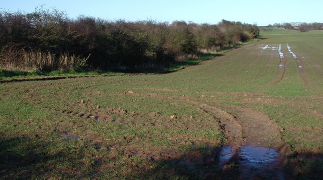 Ảnh "Halsham" của Paul Glazzard (CC BY-SA) / Cắt từ ảnh gốc