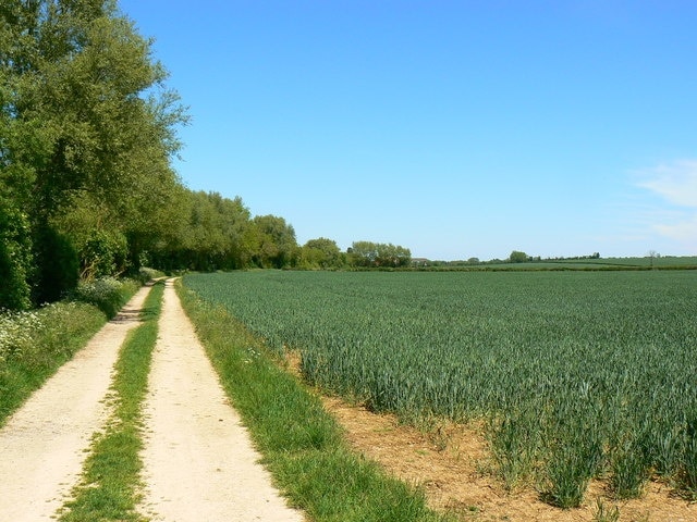 Footpath near Kempsford, Gloucestershire The path leads to a structure named 'Ham Barn' on the maps. The barn is just about visible at the centre-right of the image.