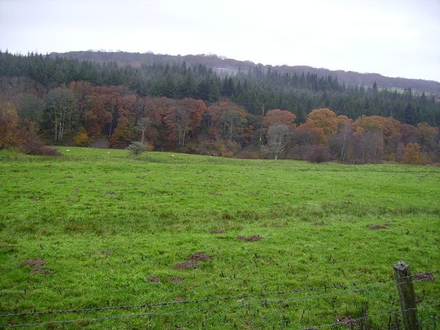 Foto "Blindcrake" de Douglas Gemmell (CC BY-SA) / Recortada do original