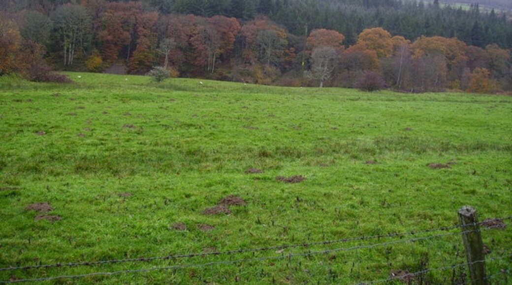 Foto "Blindcrake" de Douglas Gemmell (CC BY-SA) / Recortada do original