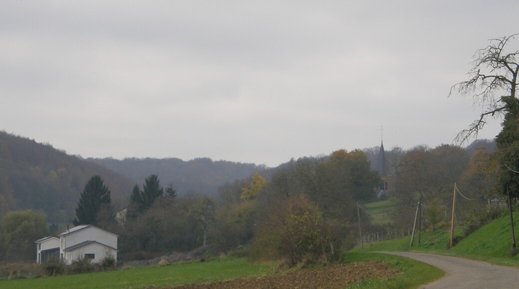 Photo "Réville-aux-Bois" by A pascolini (page does not exist) (CC BY-SA) / Cropped from original