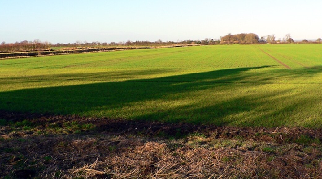 Kuva ”Carrington” käyttäjältä Ian Carrington (CC BY-SA) / rajattu alkuperäisestä kuvasta