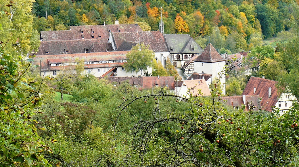 Foto „Kloster Bebenhausen“ von qwesy qwesy (CC BY)/zugeschnittenes Original
