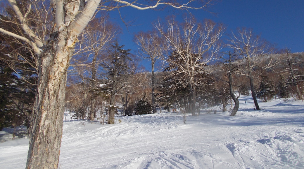 Photo "Tanne no Mori Okojo Ski Resort" by SATcatype (CC BY-SA) / Cropped from original