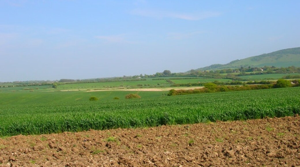 Foto "Berwick" de Simon Carey (CC BY-SA) / Recortada do original