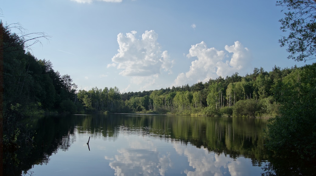 Photo "Hohenwalde" by Sebastian Wallroth (CC BY) / Cropped from original