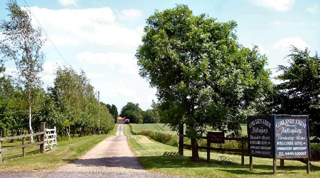 Kuva ”Depden” käyttäjältä Bob Jones (CC BY-SA) / rajattu alkuperäisestä kuvasta