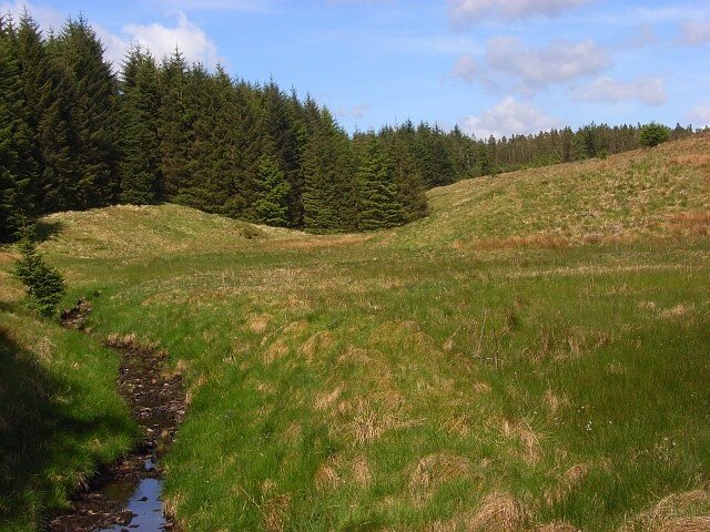 Foto “Kingwater” tomada por John Hill (CC BY-SA); recorte de la original