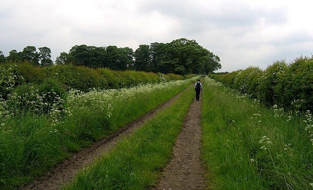 Photo "Stonegrave" by Roger Smith (CC BY-SA) / Cropped from original