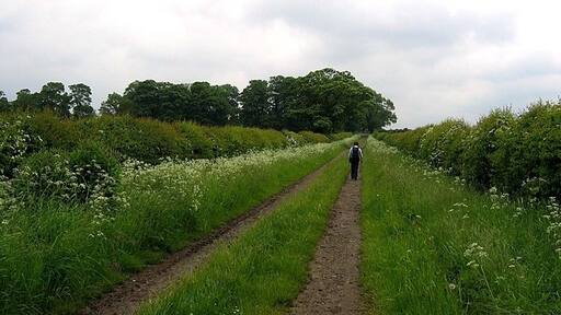 Photo "Stonegrave" by Roger Smith (CC BY-SA) / Cropped from original