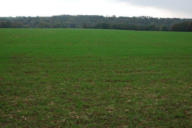 Kuva ”Syde” käyttäjältä Philip Halling (CC BY-SA) / rajattu alkuperäisestä kuvasta