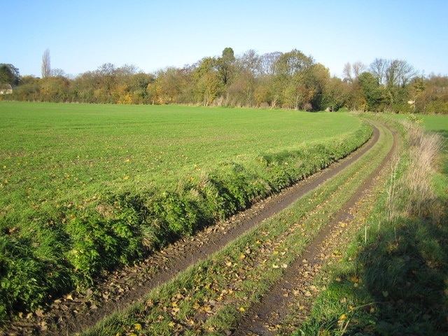 Stickling Green: Colehill Lane Colehill Lane, which runs between Clavering and Stickling Green, is a Public Byway or BOAT (Byway Open to All Traffic).