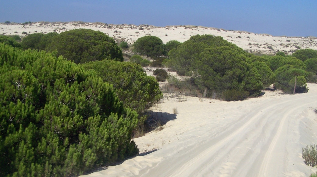 Foto "Taman Nasional Doñana" oleh Dubas (CC BY-SA) / Dipotong dari foto asli