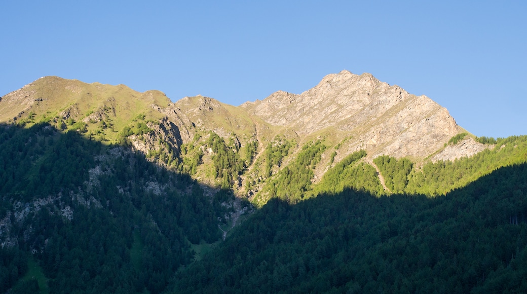 Foto “Val di Vizze” tomada por Haneburger (CC BY-SA); recorte de la original