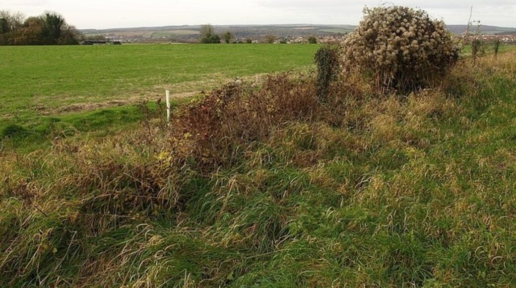 Photo "Langton Long Blandford" by Derek Harper (CC BY-SA) / Cropped from original