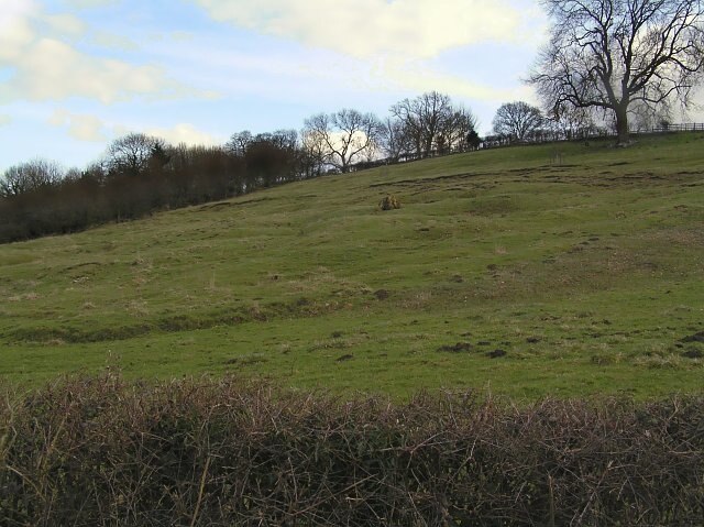 Photo "Edstone" by colin grice (CC BY-SA) / Cropped from original