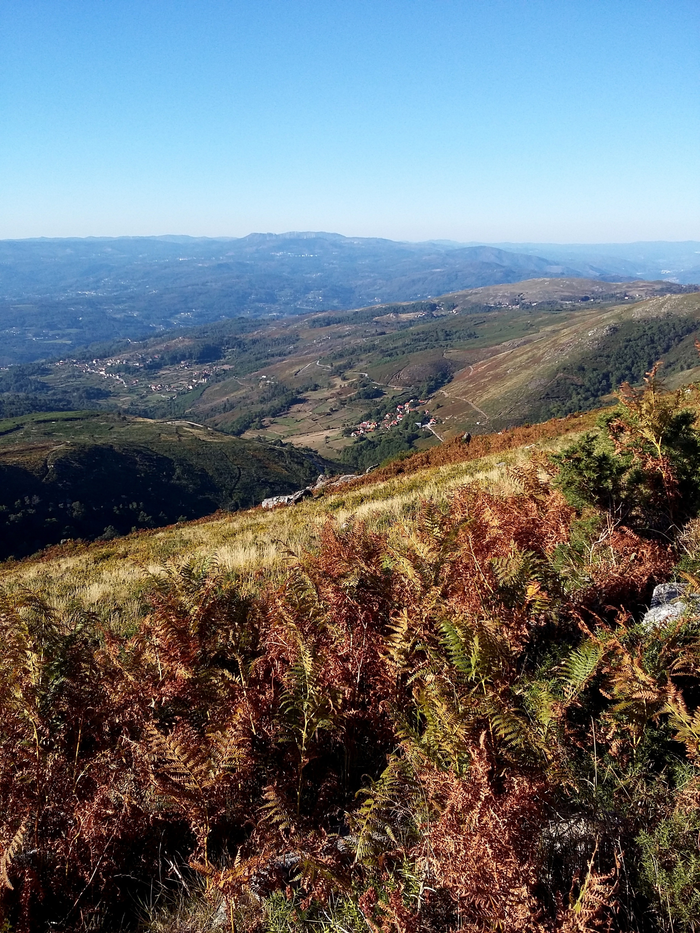 Photo "São Paio" by Tiago Barreiros (CC BY) / Cropped from original