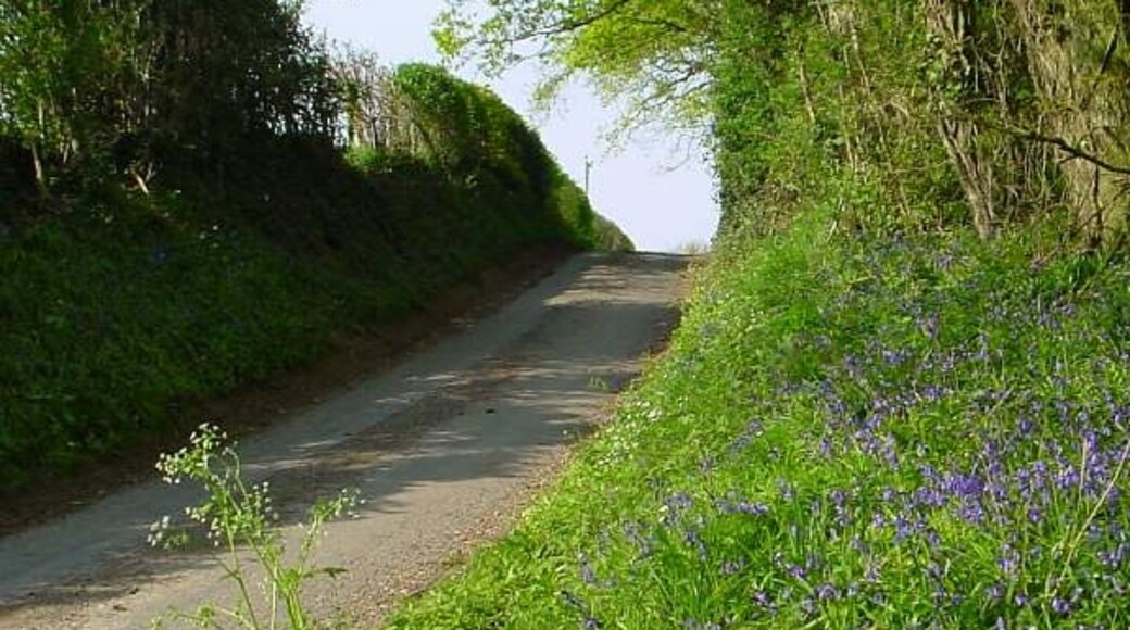 Photo "Sibdon Carwood" by Andrew Bennett (CC BY-SA) / Cropped from original