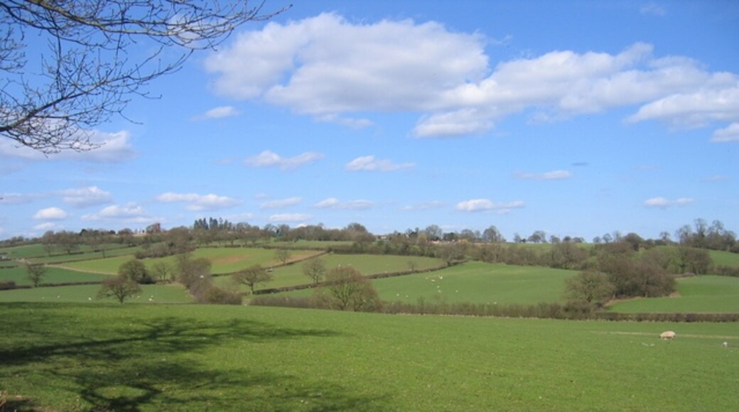 Photo "Alvechurch" by David Stowell (CC BY-SA) / Cropped from original