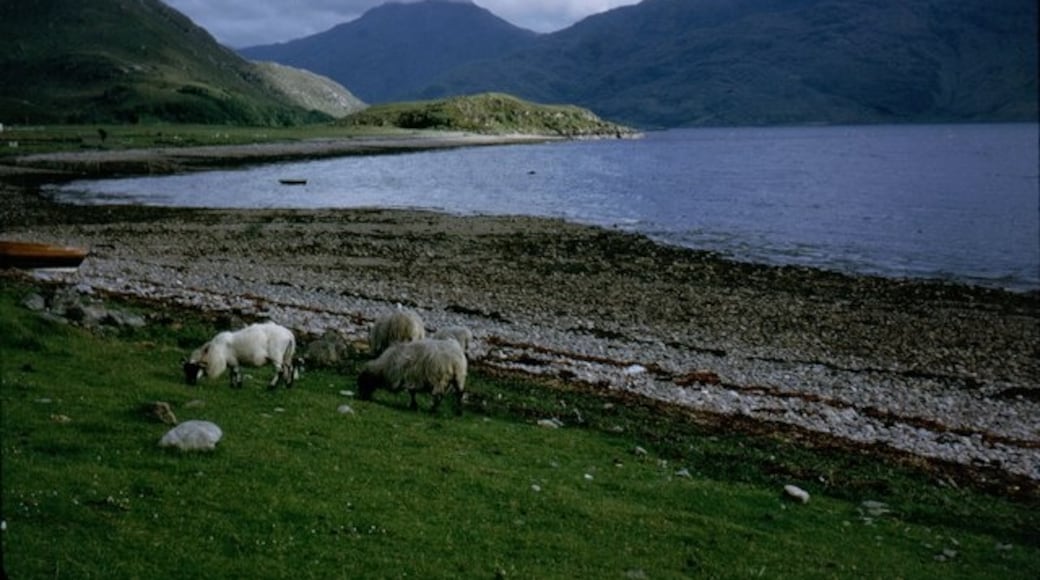 Photo "Arnisdale" by Sarah Charlesworth (CC BY-SA) / Cropped from original