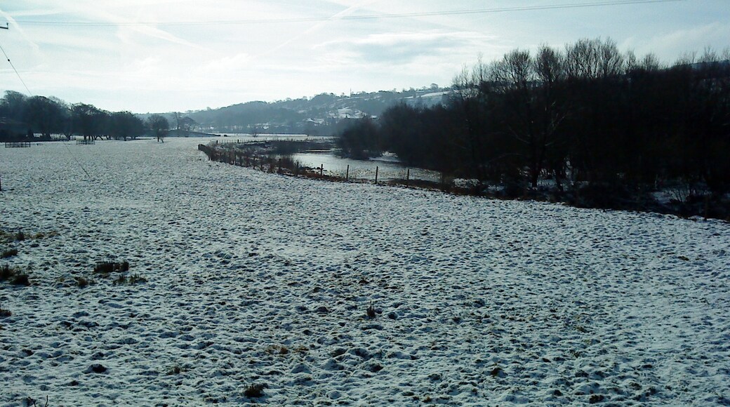 Foto “Denton” tomada por Matthew Hatton (CC BY-SA); recorte de la original