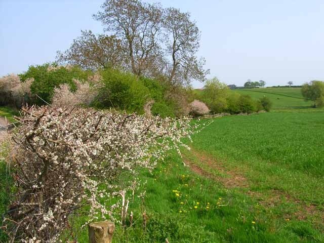 Photo "Stillington and Whitton" by Oliver Dixon (CC BY-SA) / Cropped from original