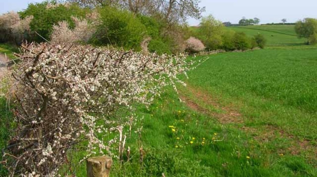 Photo "Stillington and Whitton" by Oliver Dixon (CC BY-SA) / Cropped from original