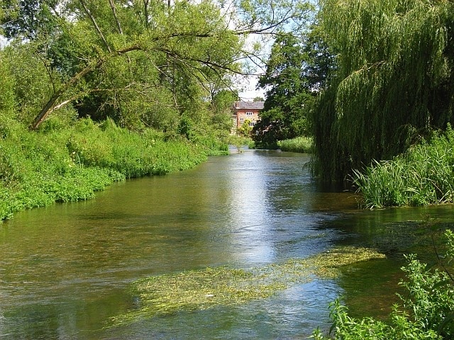 The River Avon, Amesbury Looking upstream to South Mill.