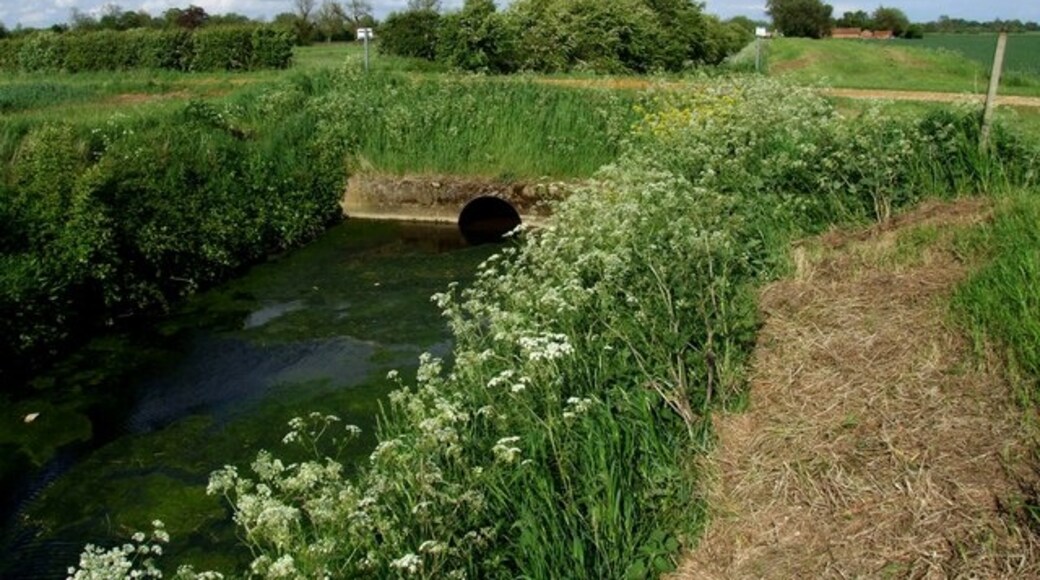 Photo "Halton Holegate" by Dave Hitchborne (CC BY-SA) / Cropped from original