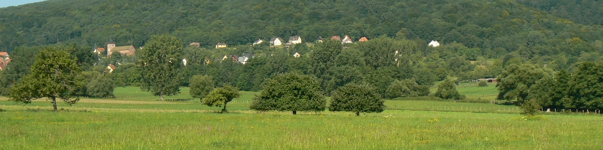 Photo "Vue générale du Mt St Michel et de St Jean Saverne (Bas Rhin - 67)" by Pradigue (Creative Commons Attribution-Share Alike 3.0) / Cropped from original