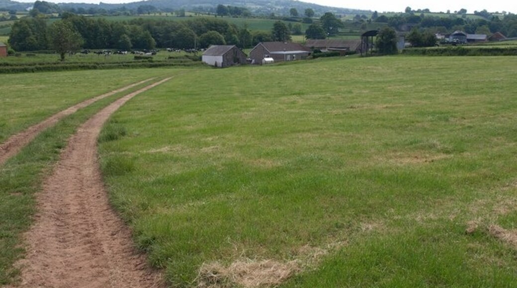 "Wellington Without"-foto av Derek Harper (CC BY-SA) / Urklipp från original